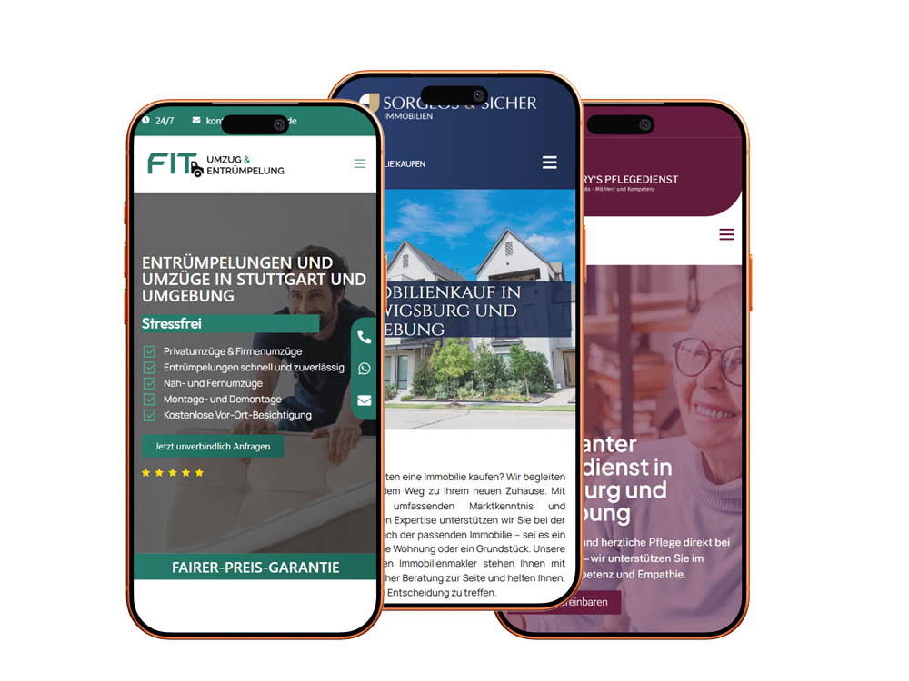 Webdesign in Ludwigsburg Website Webseite Ludwigsburg Bietigheim Stuttgart